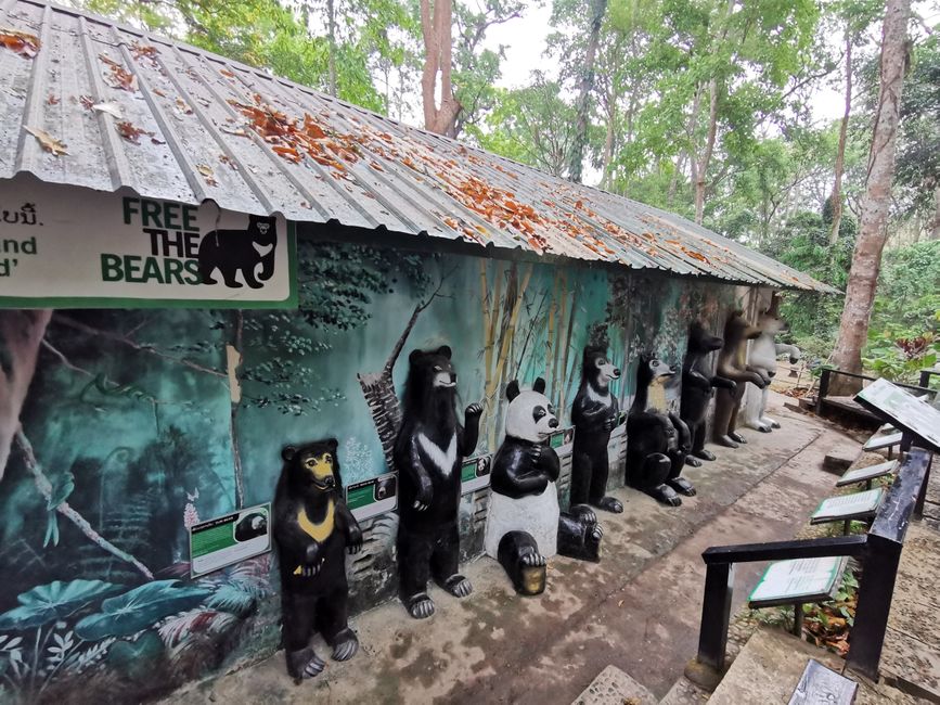 ... la famille d'ours ...
