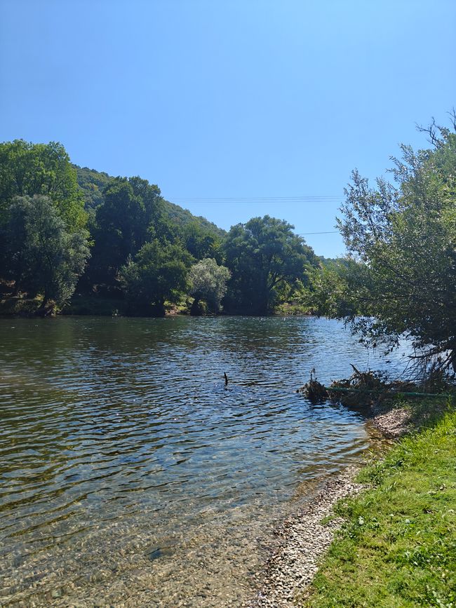 Vrbas 