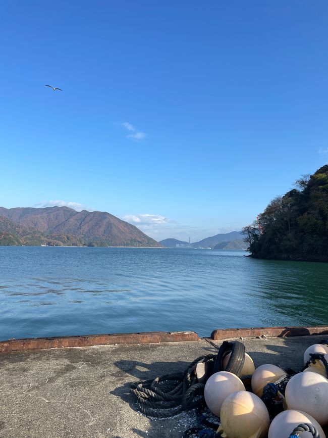 30.Kapitel: Adler über Maizuru oder genug ist vielleicht mal genug