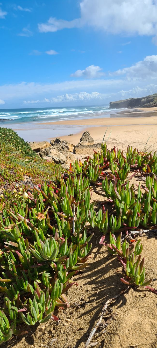 7. Etapa Monte Clerigo - Praia da Arrifana