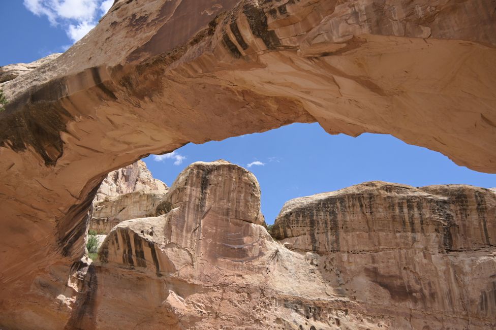Capitol Reef NP - Hickman Bridge