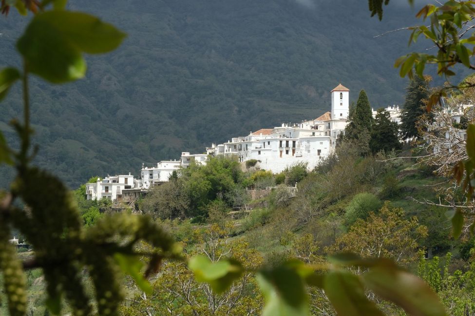 Capileira