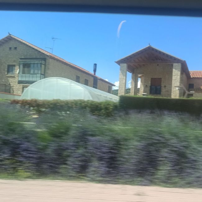 Photos depuis ma voiture de Mugalindo (Avila) (juillet 2023)