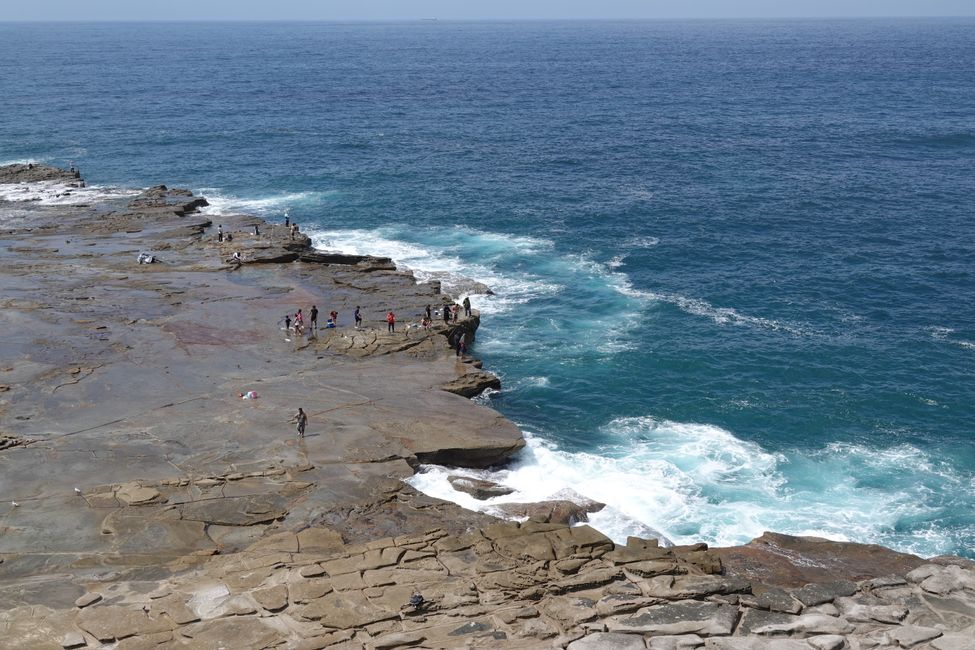 In the city of Wollongong ....