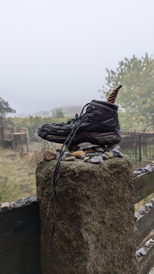 Zwölfte Etappe Camino Portugues von Caldas de Reis nach Padron