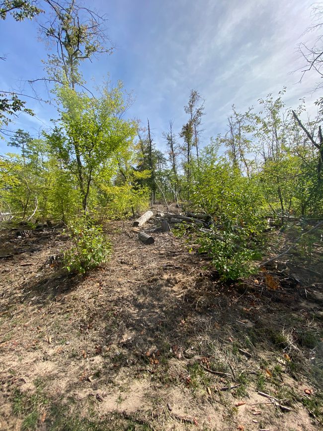 Oben auf der Düne bot sich dieses Bild