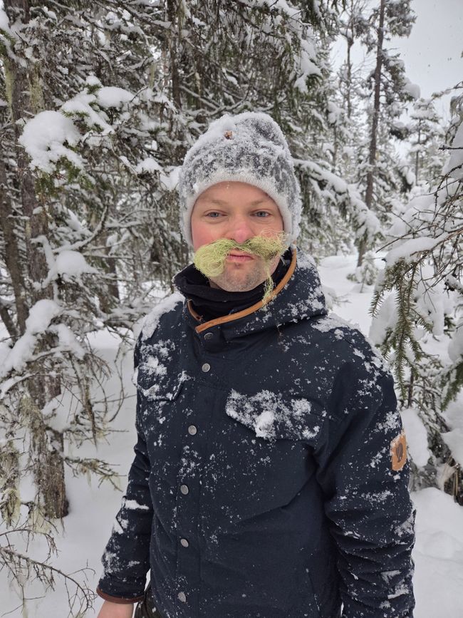 Snoepjes zoeken