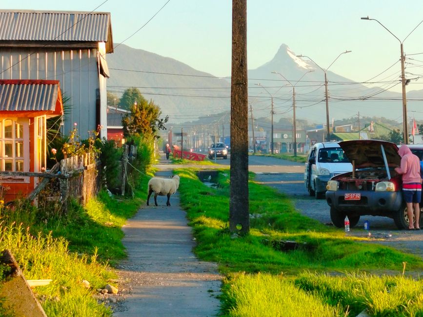 Viaggio in Patagonia Parte 3: Traghetto per Chaoten + Parco Nazionale Pumalin