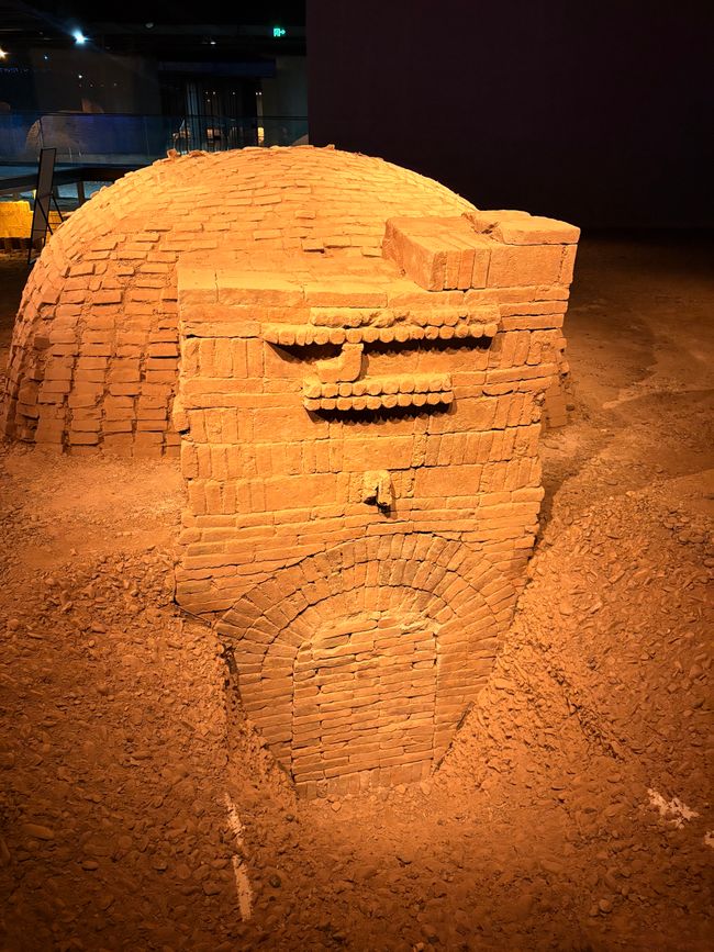 ...e di nuovo cipolla del deserto, ne siamo dipendenti