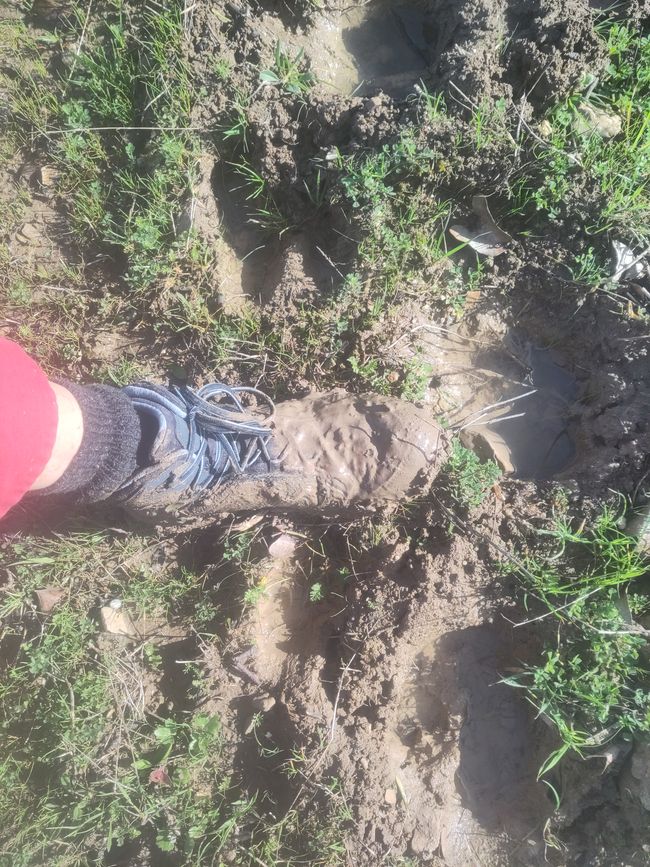 ...und leider wetterbedingte vorläufige Pause der großen Wanderung...