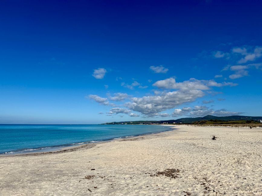 Auf dem kilometerlangen Strand waren wir anfangs ganz alleine.