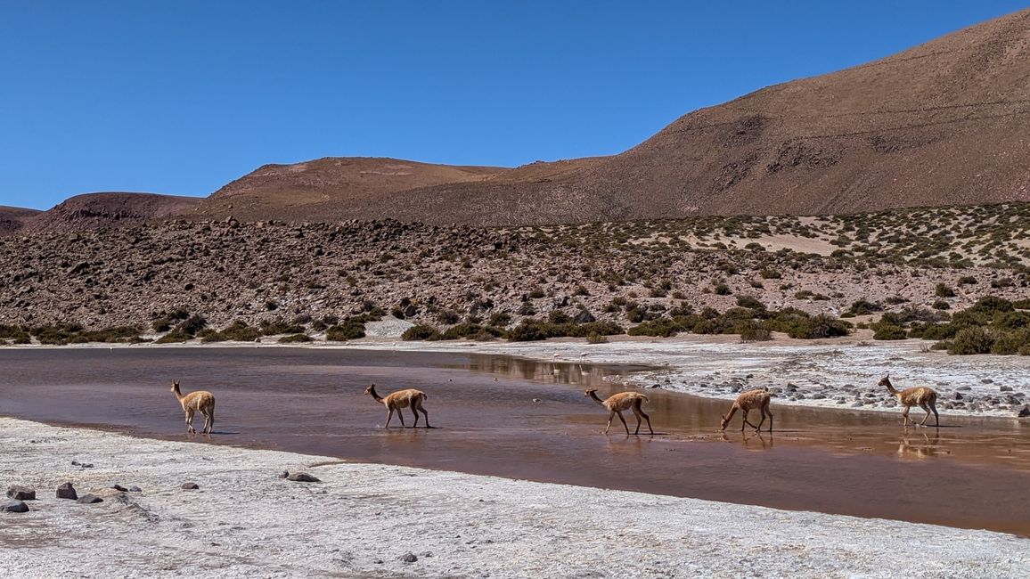 Atacama 