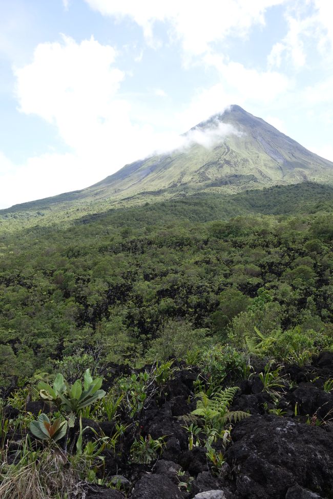 Die Entdeckung der Langsamkeit