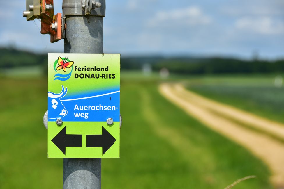 * * * S E C H T A S A F A R I - der Auerochsenweg
bei Bopfingen * * *