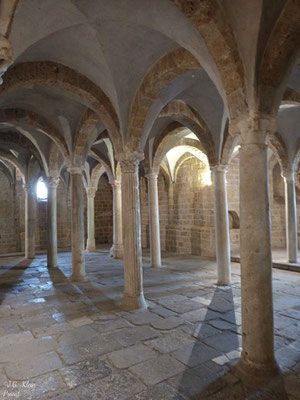 Tuscania und Wein
Mein Schiff Relax
11. Juni - 20. Juni 2025