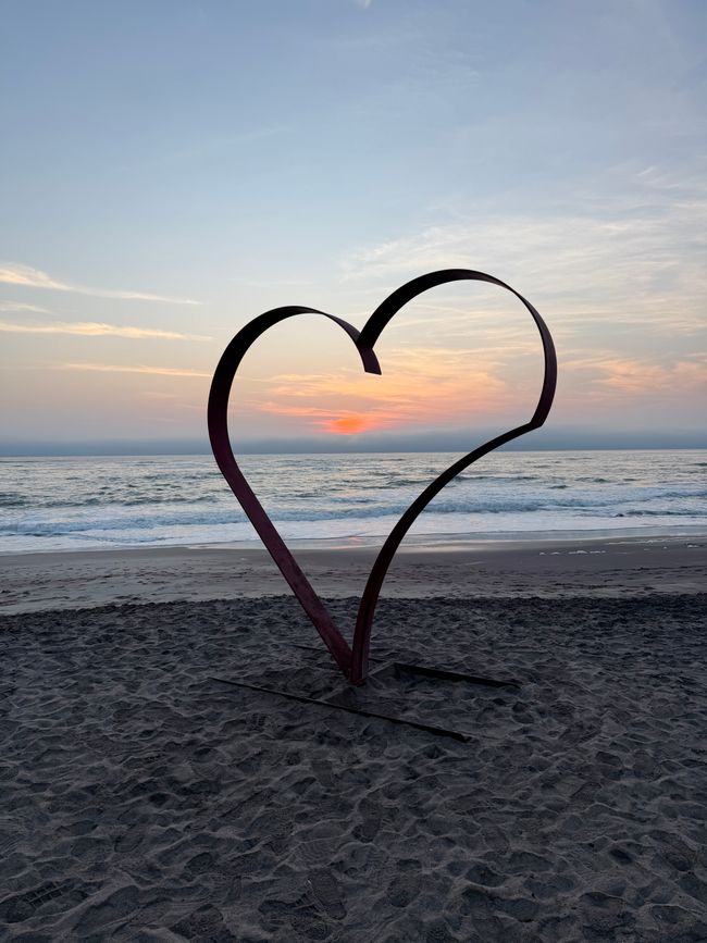 Namibia 2k25 🦓🏜️🐘