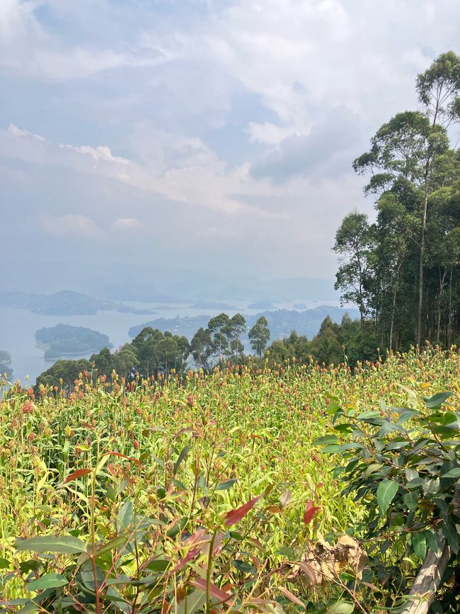 Lago Bunyonyi