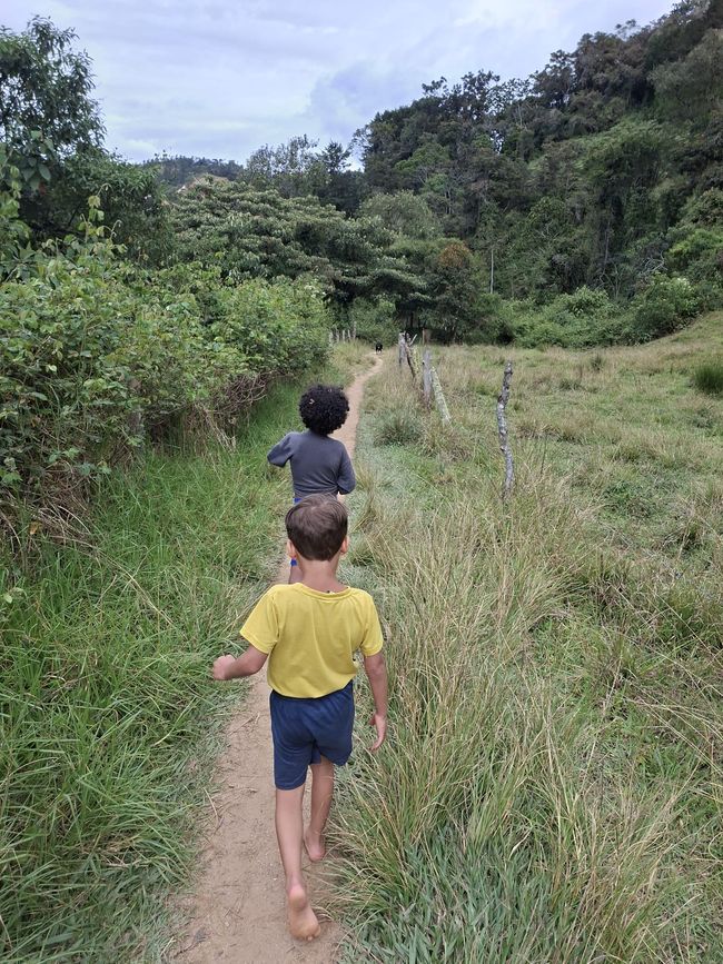 Semaine 26-28 : Au revoir, Colombie