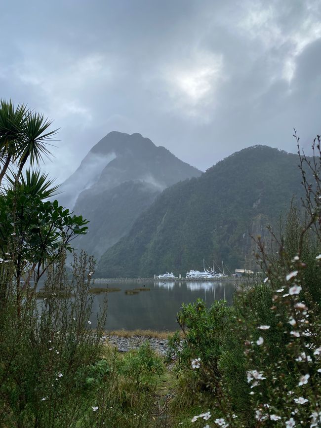 Road trip to Milford Sound