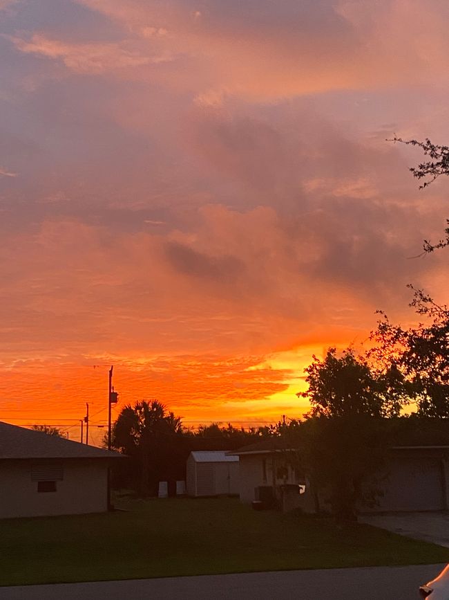 Buona Notte Cape Coral