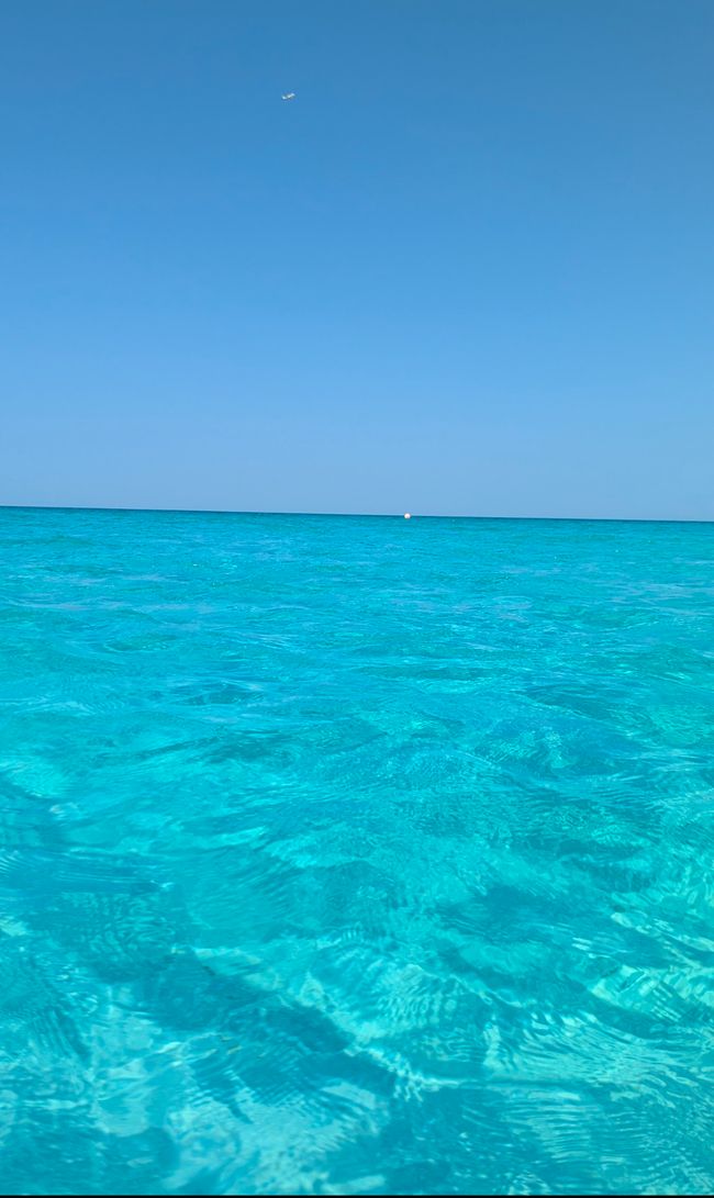 Saadiyat Beach Club