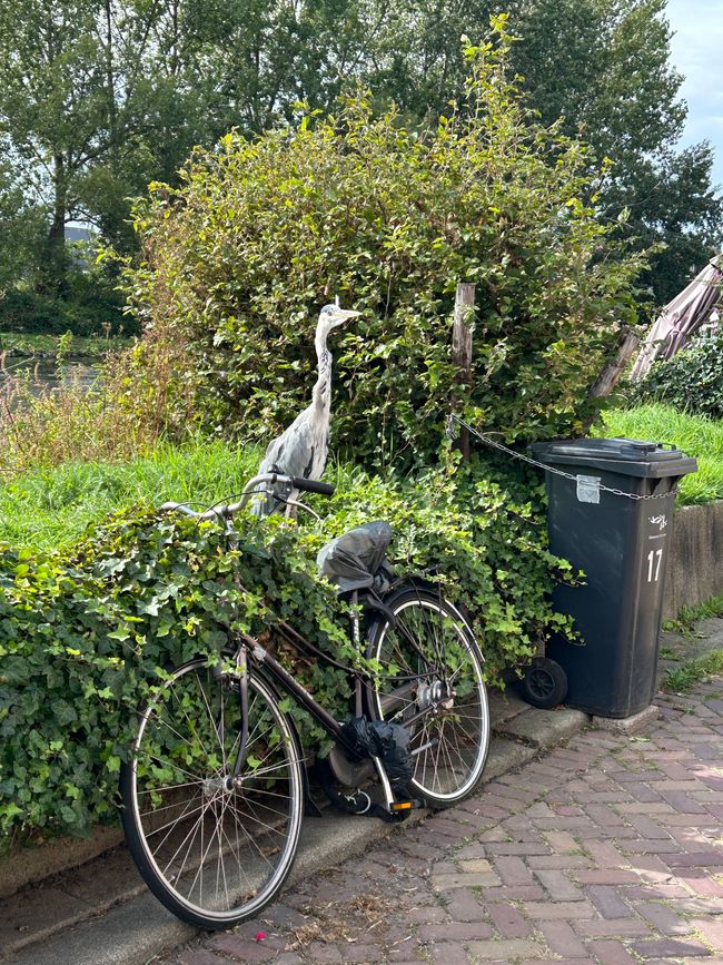 Tag 4: Sprang-Capelle - Den Haag Parte 3