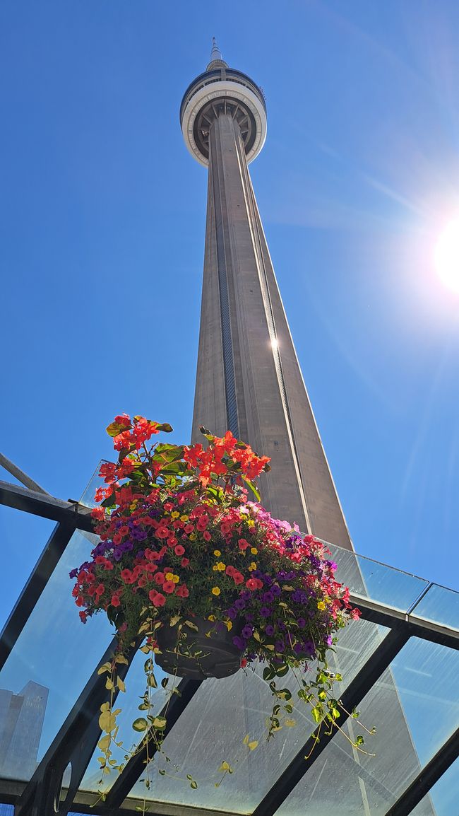 Toronto