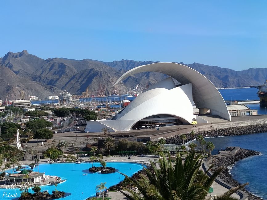Blick vom Palmetum zum Auditorium