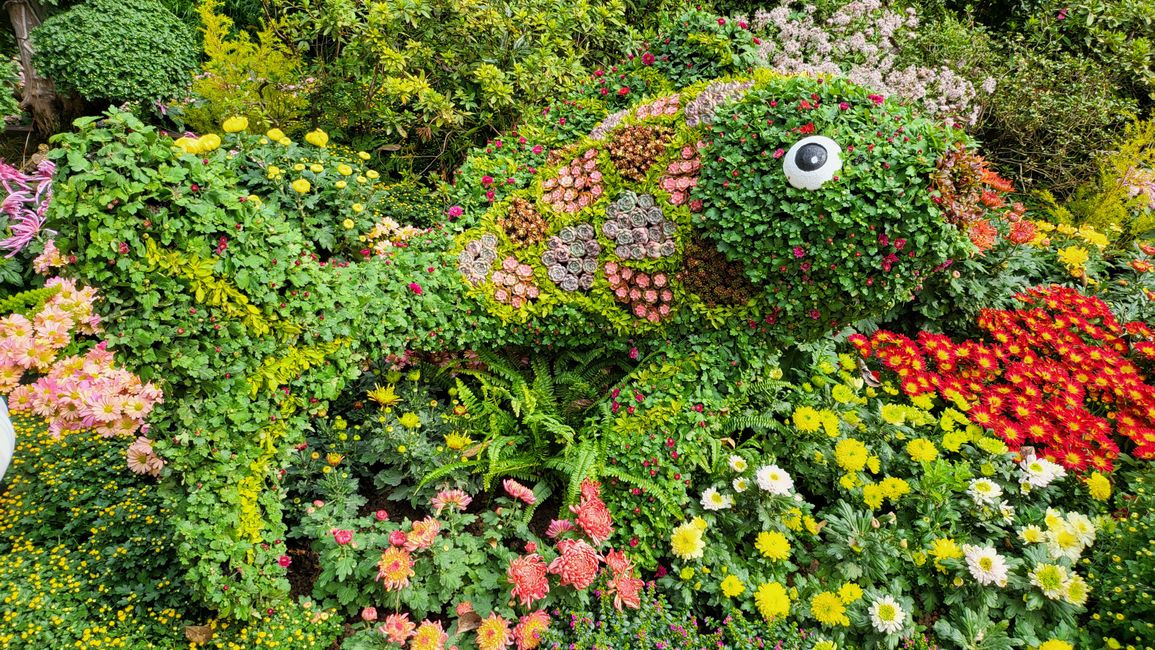 Botanischer Garten Hangzhou