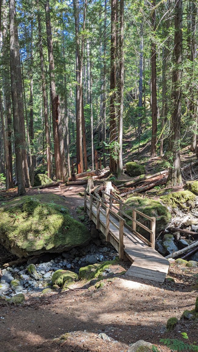 Lupin Falls Trail