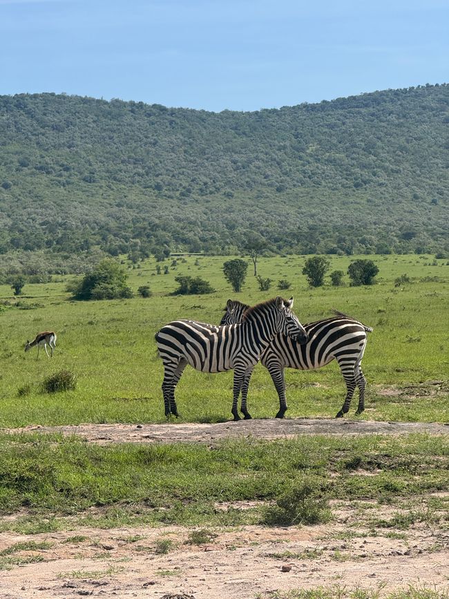 Jambo Kenia