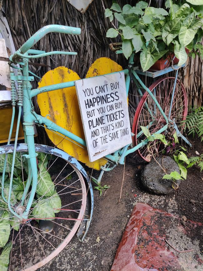 Tansania - Tag 8: Eco Banana Farm