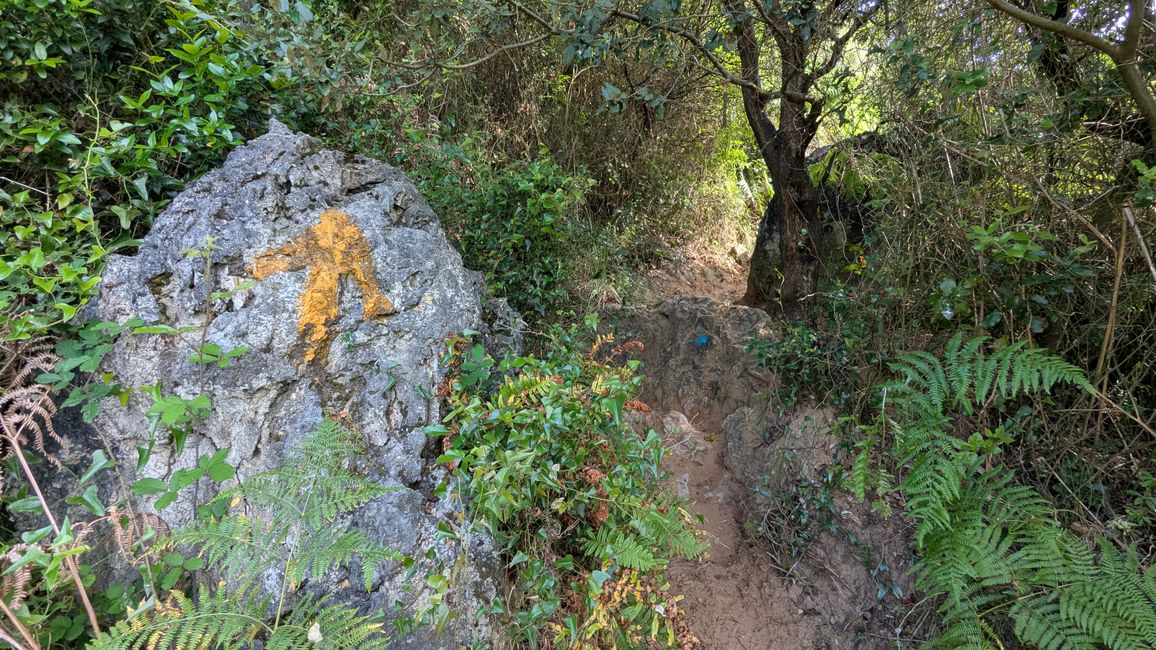 5. Etappe Camino del Norte von Santona nach Güemes