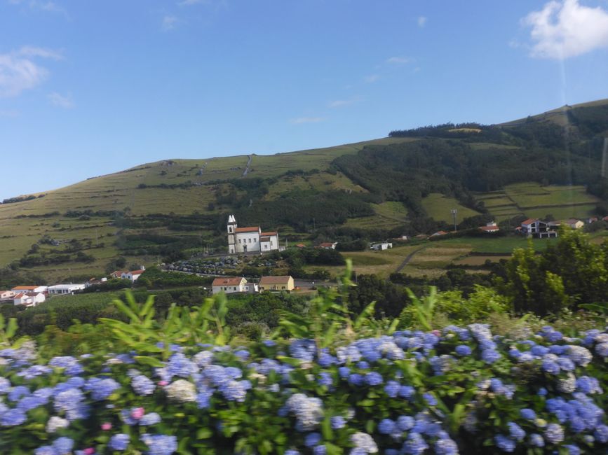 2025-07-22 Flores