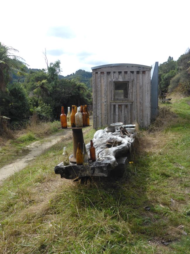 2025-03-29 Tongariro, Timber Trail und ...
