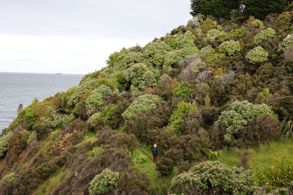 Stewart Island