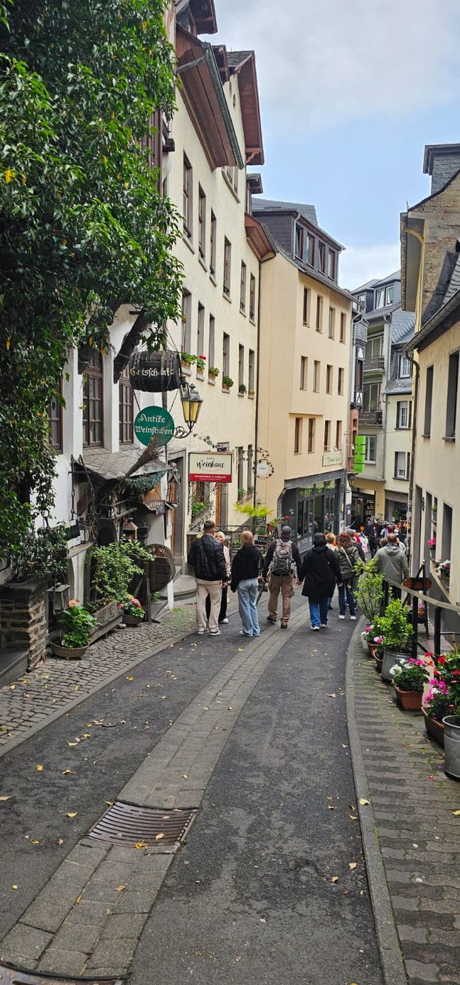 Cochem sul Mosella