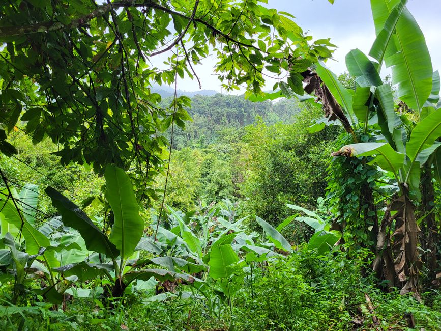 Hike
