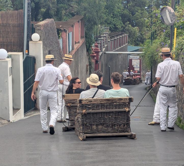 Tag 9: Funchal - mit einer rasanten Schlittenfahrt