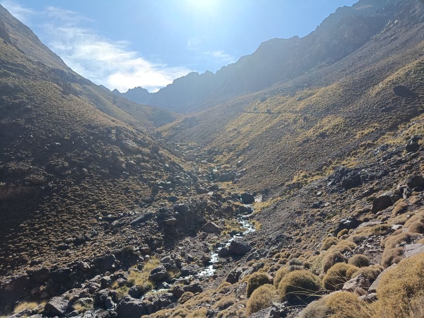 Dejado solo a 4.000 metros