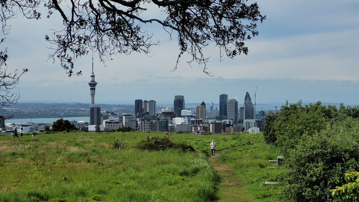 Thank the Maoris - We can visit Auckland