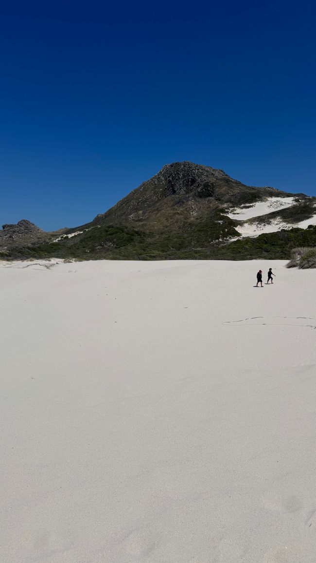 Sanddünen
