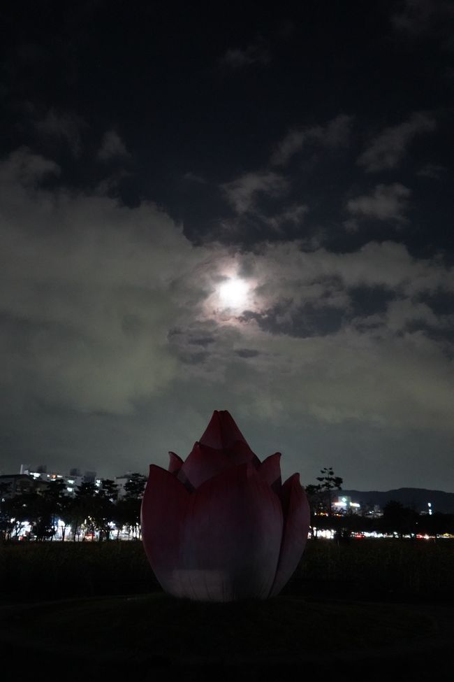 Jardín de luz