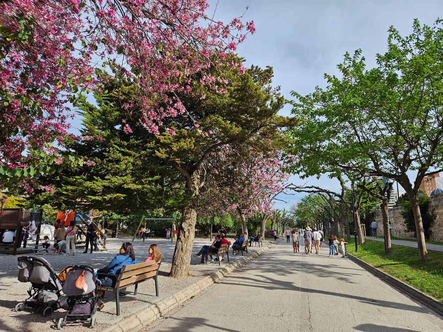 2025 - Aprile - Valencia - Parco del Turia