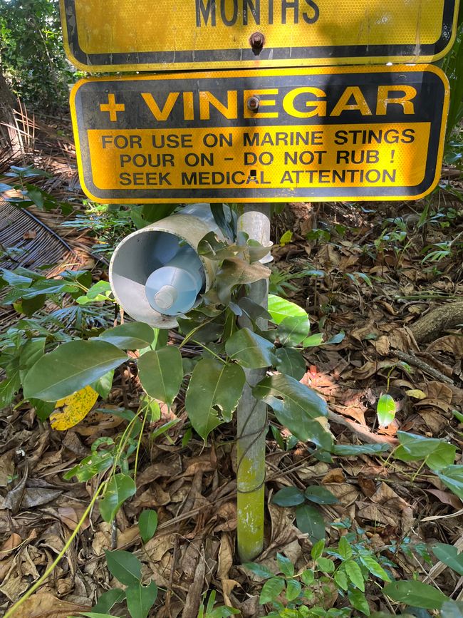 Urgence 🆘 Vinaigre