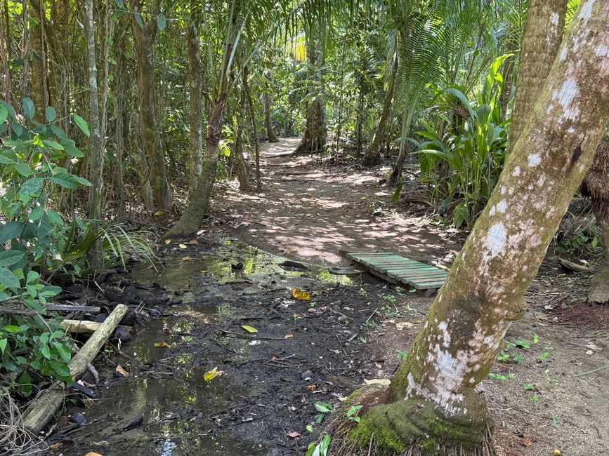 También hay que cruzar un pequeño río