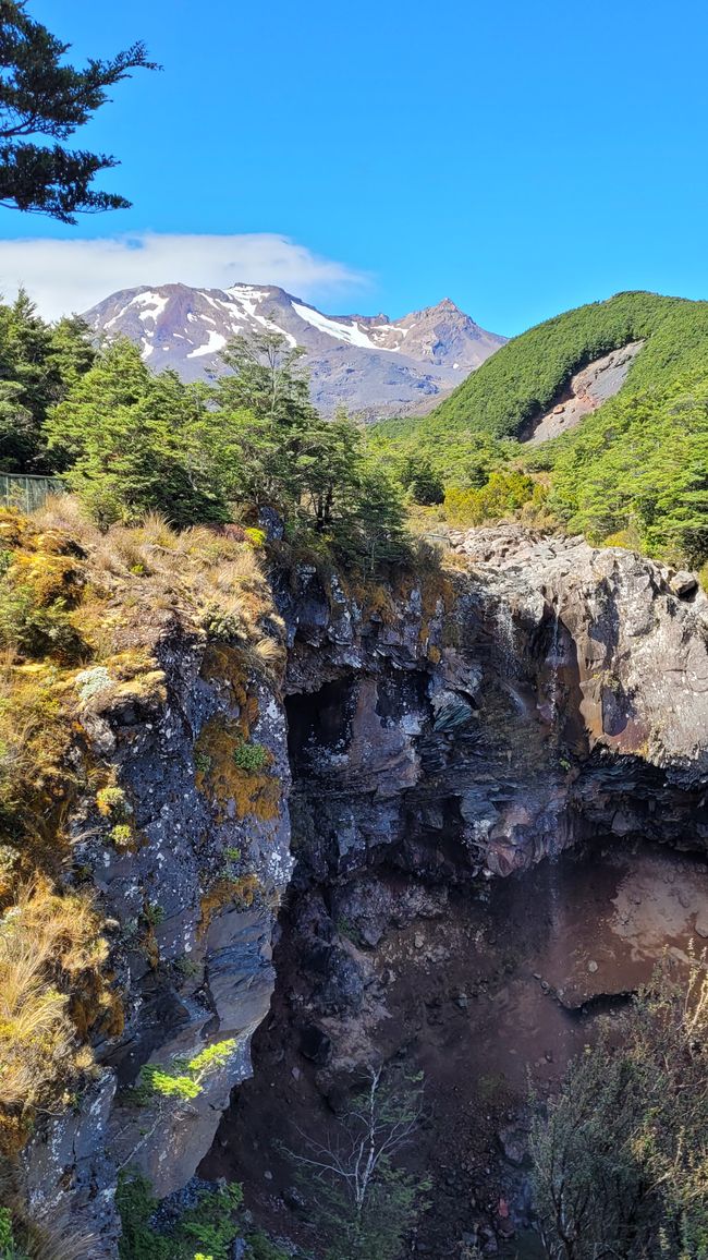 29.Januar-27.Februar 2025 Neuseeland
18.Februar