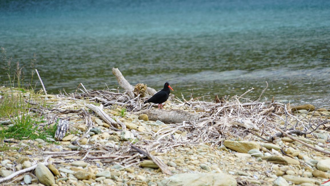Picton - Queen Charlotte Track