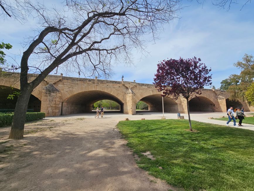 2025 - Aprile - Valencia - Parco del Turia
