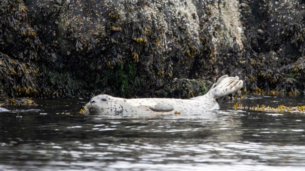 Day 5: From Victoria to Rathtrevor Provincial Park